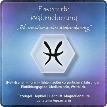 "Erweiterte Wahrnehmungen" Edelsteinessenz